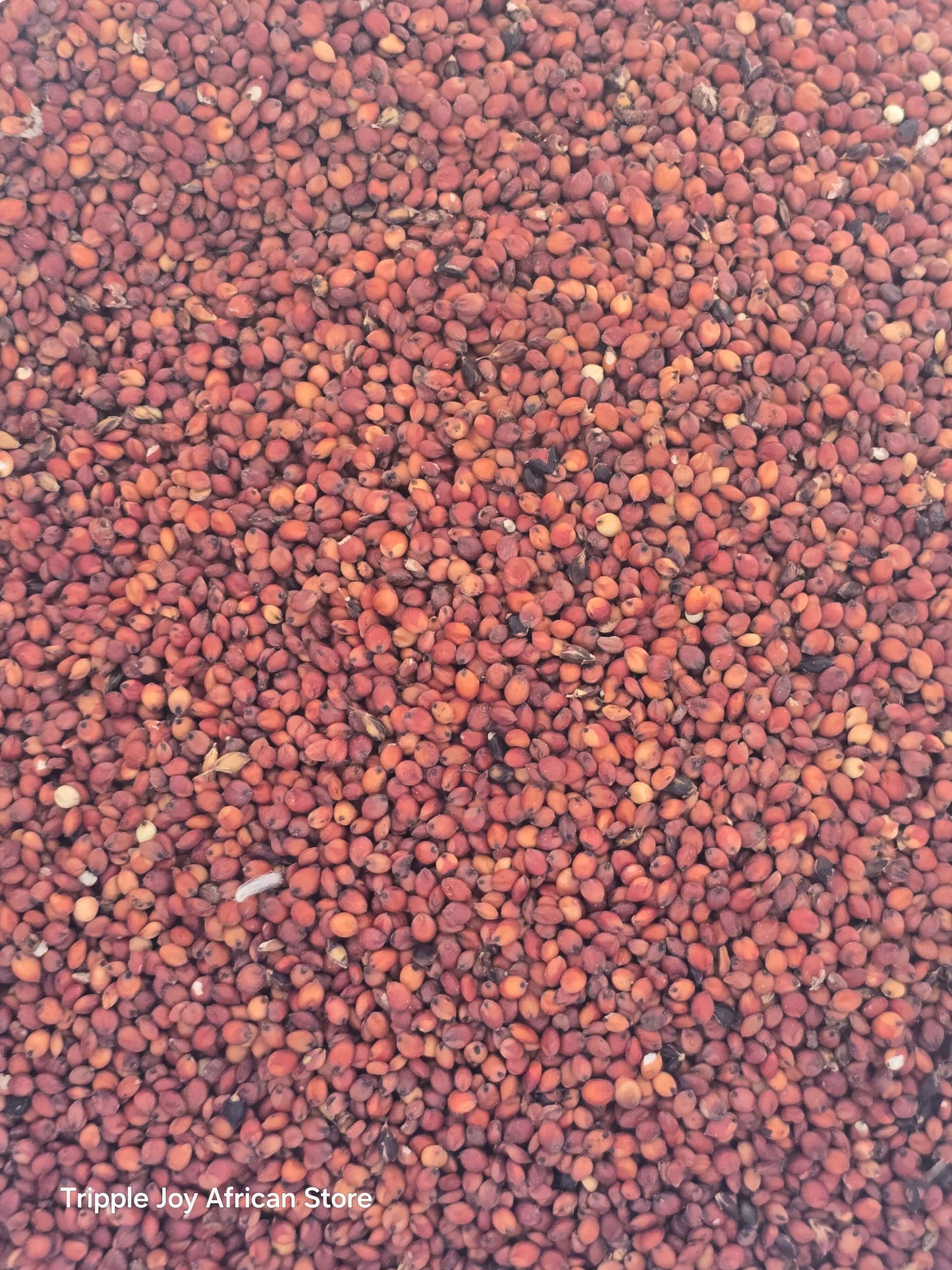 organic sorghum grain benefits