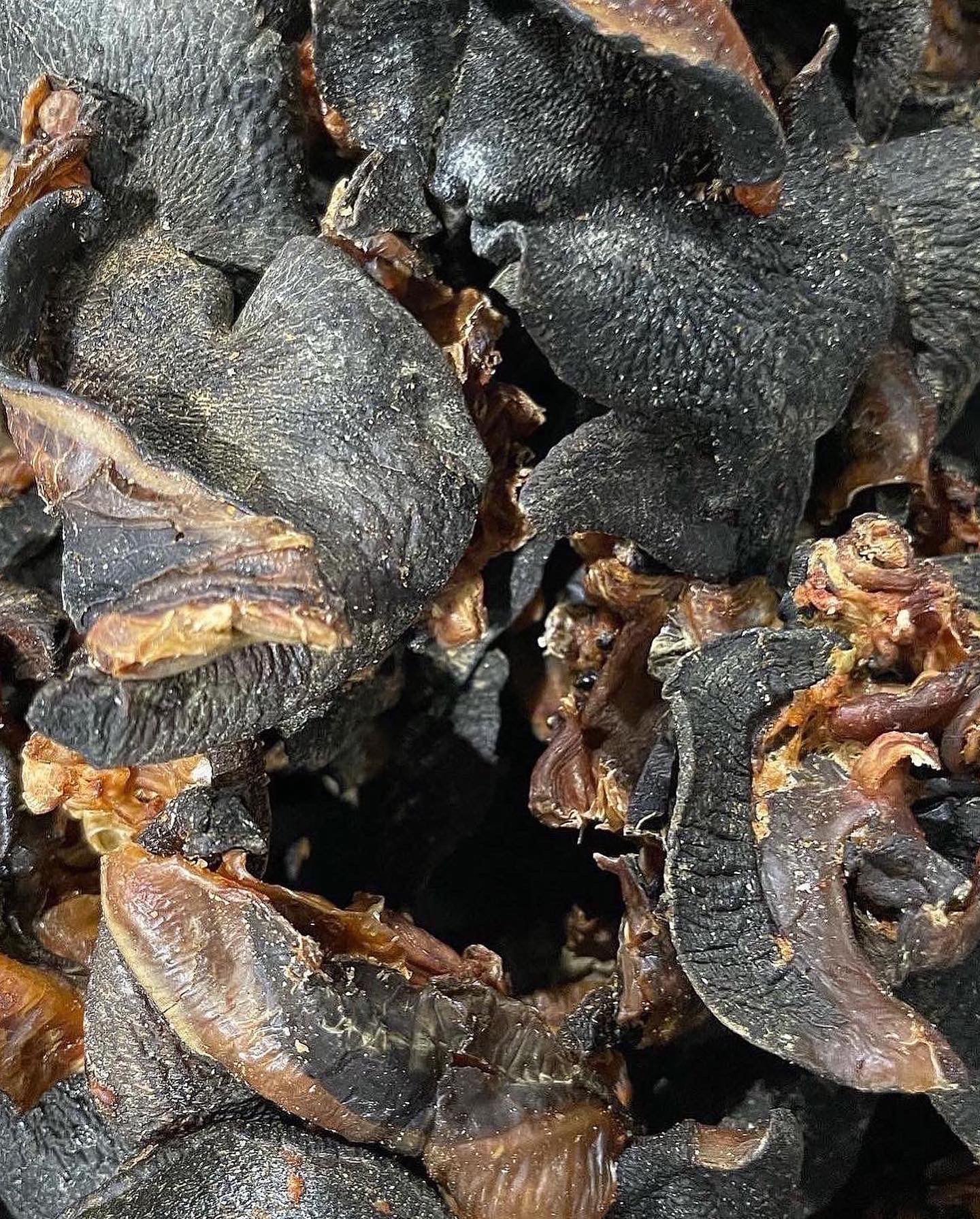 Dried Snails Premium Quality High-Protein