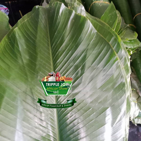 Fresh Moi Moi Leaves 15 pieces