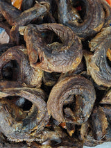 Apo fish