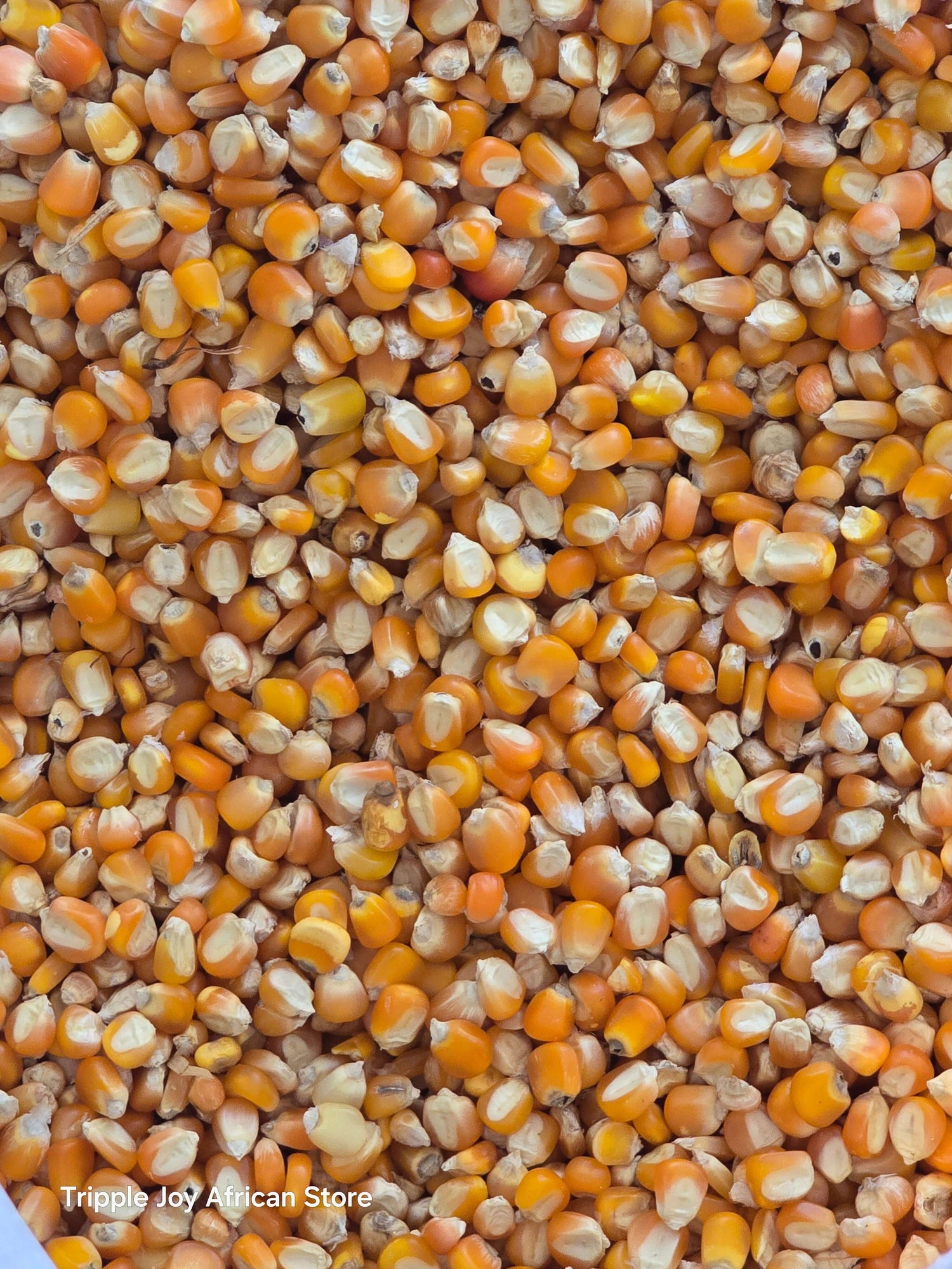 Organic yellow corn 5lb