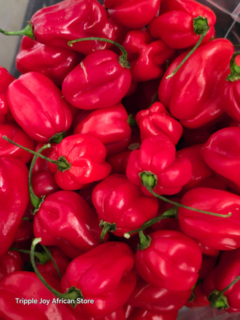 Habanero Red pepper