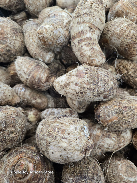 Cocoyam TaroCocoyam Taro