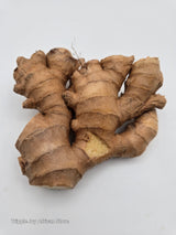 Organic ginger root