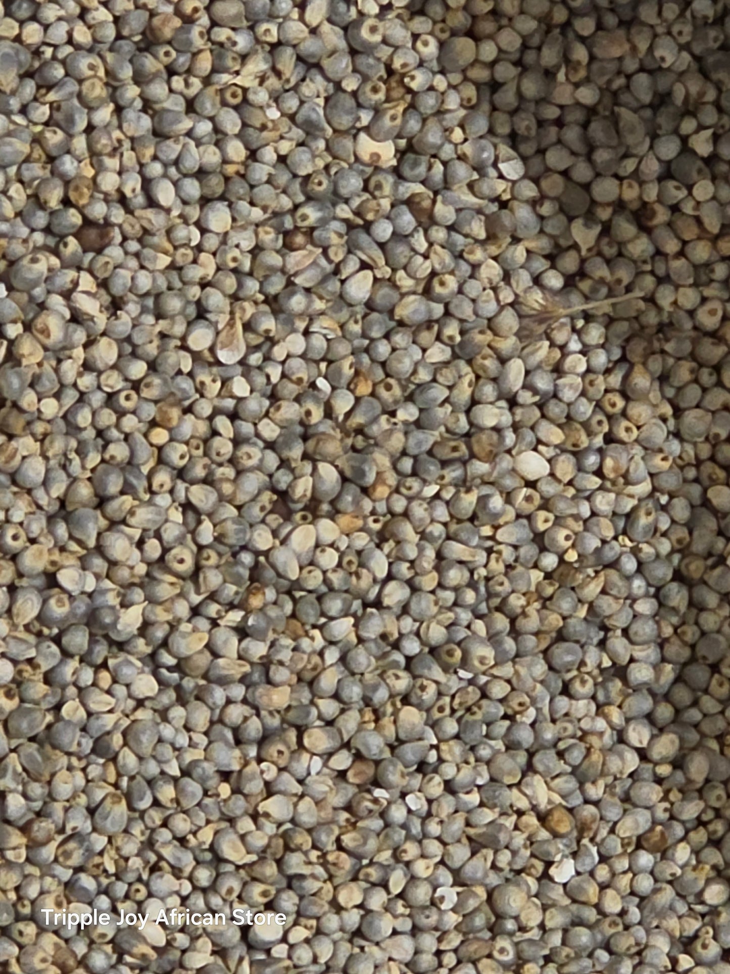 Premium Organic Whole Millet Grains- African Pearl Millet Seeds for Traditional Cooking & Porridge 5lb