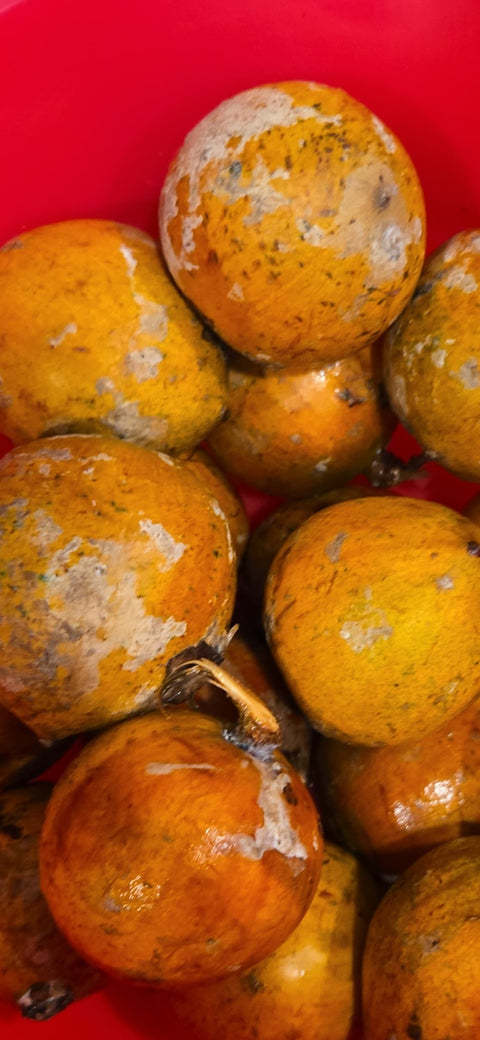 Agbalumo Star apple