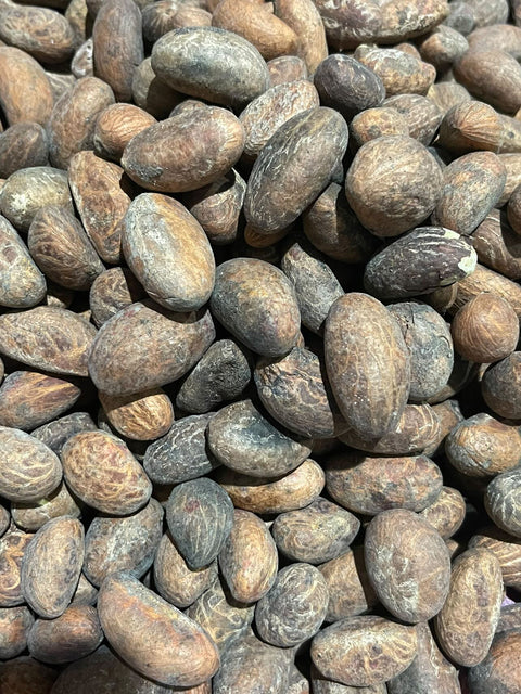 Fresh organics African bitter kola Orogbo110g 5oz