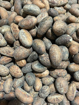 Fresh organics African bitter kola( Orogbo)110g[ 5oz]