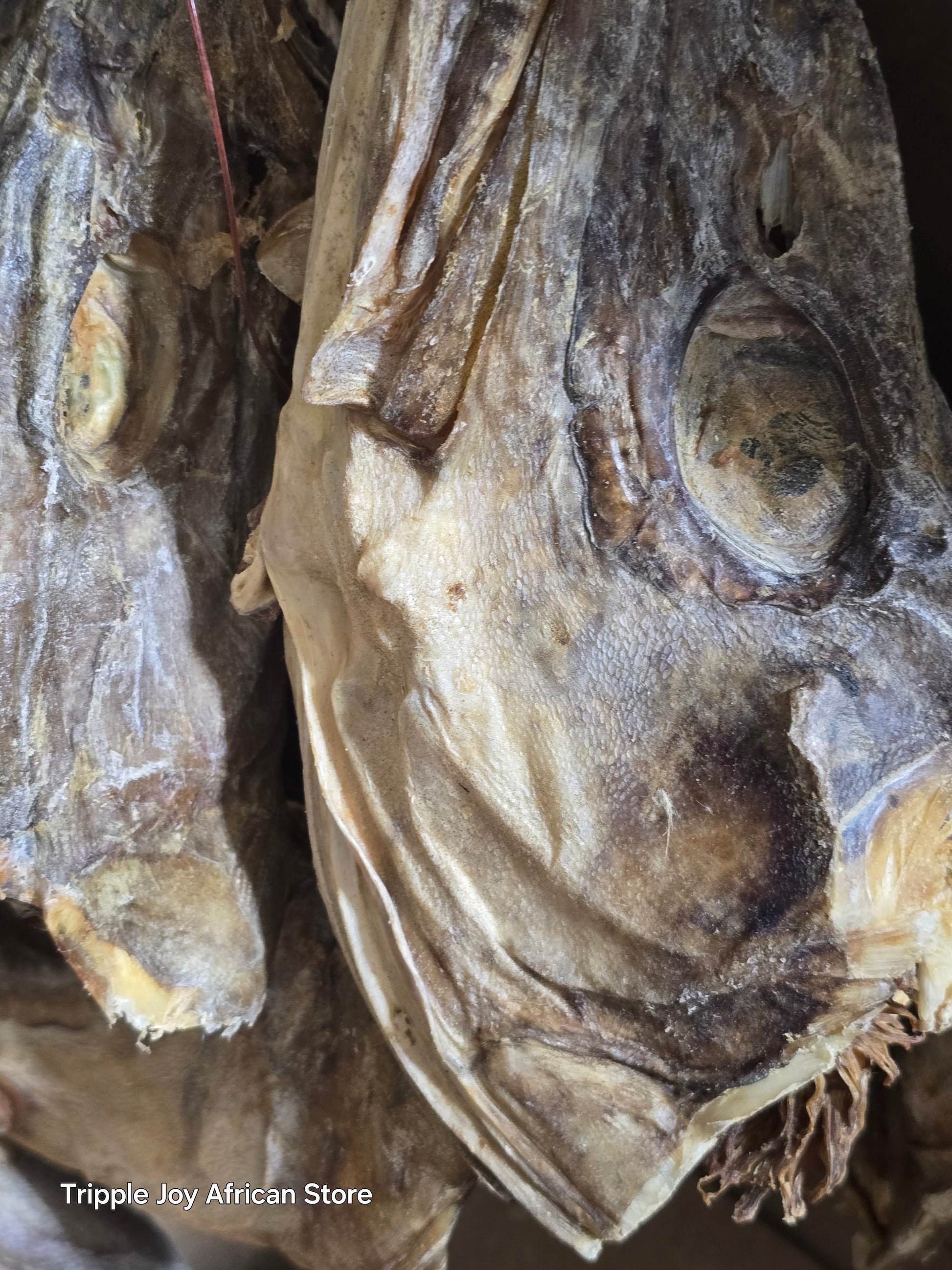 Stockfish head 12oz