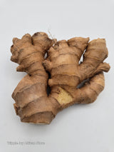Organic ginger root
