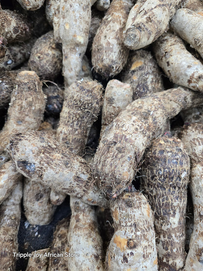 Cocoyam Taro