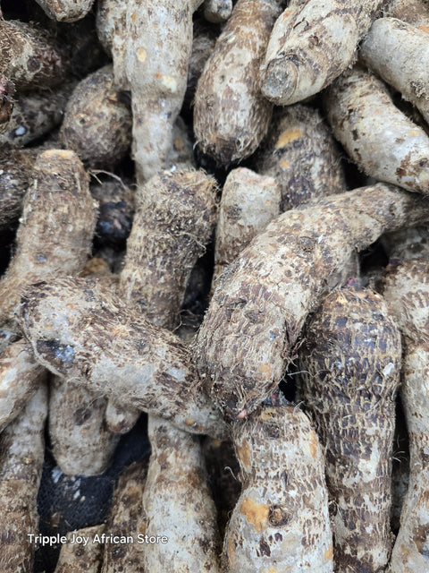 Cocoyam Taro