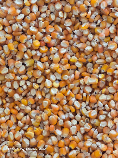 Premium Yellow Corn Maize
